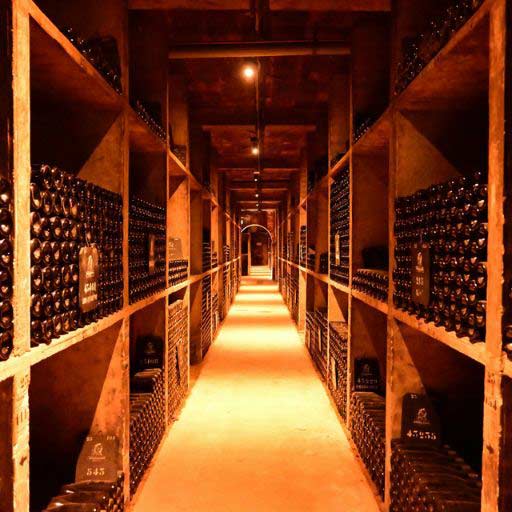 Un Viaje a las Mejores Bodegas de Vino